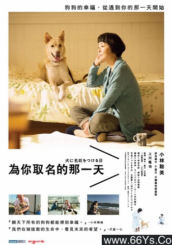 2015年日本剧情片《为你取名的那一天》1080P日语中字