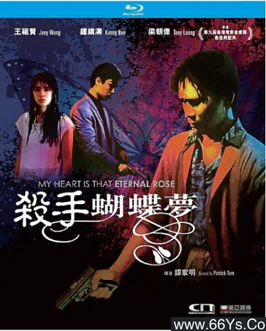 1989年钟镇涛、王祖贤爱情惊悚片《杀手蝴蝶梦》1080P国粤双语