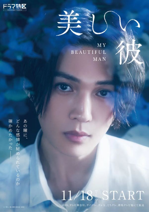 2021年8.7分日本电视剧《美丽的他》全6集