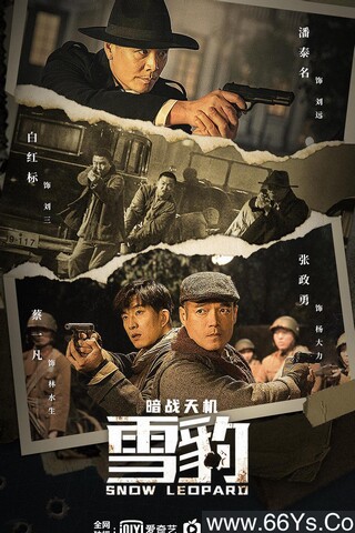 2021年潘泰名,冯越动作战争片《雪豹之暗战天机》4K高清国语中字