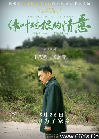 2021年丁海峰,高雅轩剧情片《绿叶对根的情意》4K高清国语中字