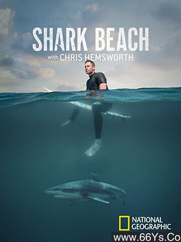 2021年美国纪录片《鲨鱼海滩》1080P英语中字