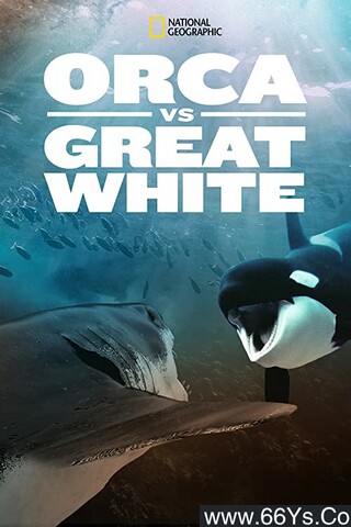 2021年美国纪录片《虎鲸对上大白鲨》1080P英语中字