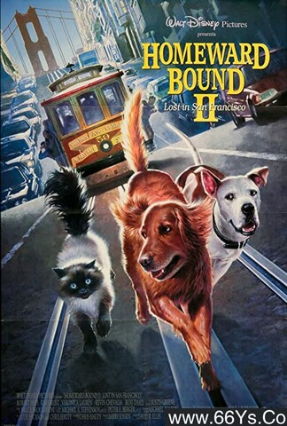 1996年美国8.2分儿童喜剧片《看狗在说话之旧金山历险记》1080P英语中字