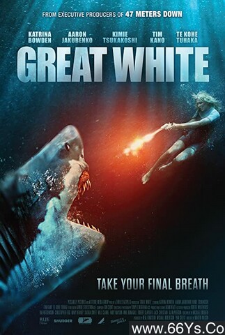 2020年澳大利亚惊悚剧情片《大浪白鲨》1080P英语中字