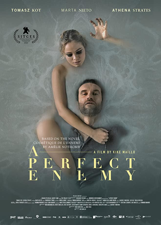 2020年欧美6.5分惊悚片《完美敌人》1080P英语中英双字