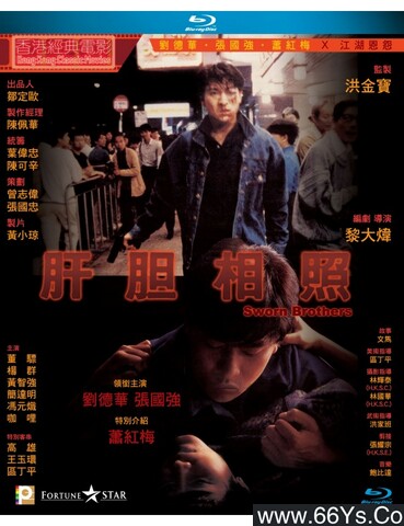 1987年刘德华,张国强动作剧情片《肝胆相照》1080P国粤双语