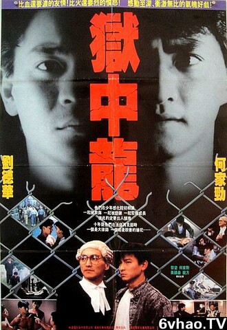 1990年刘德华,何家劲,黎姿7.0分动作片《狱中龙》1080P国粤双语