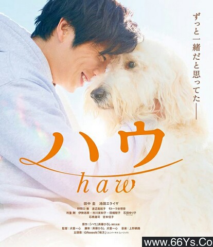 2022年日本6.4分剧情片《嗷呜/好狗不见了Haw》1080P日语中字磁力
