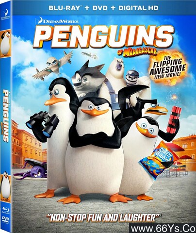 2014年美国7.7分动画片《马达加斯加的企鹅》1080P国英双语