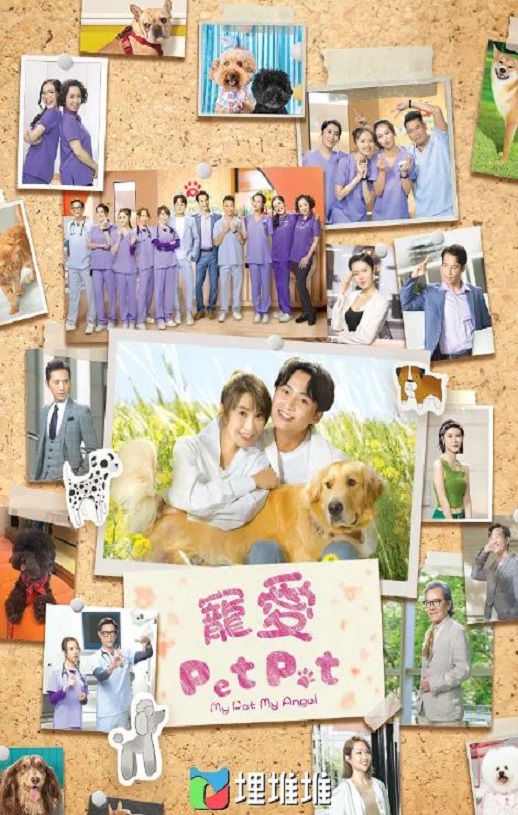 2023年周嘉洛,林夏薇电视剧《宠爱Pet Pet》全20集【完结】