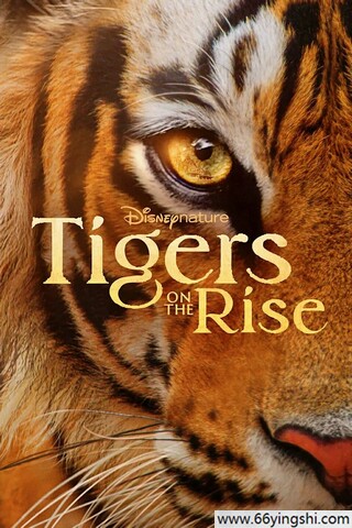 2024年美国纪录片《老虎崛起》1080P中英双字