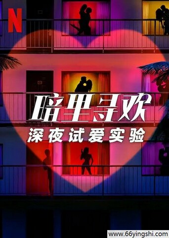 2025年美国真人秀《暗里寻欢：深夜试爱实验》1080P中字