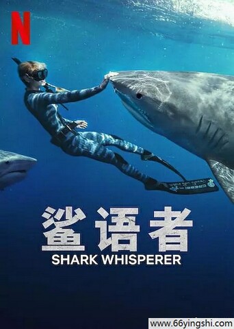 2025年美国纪录片《鲨语者》1080P中英双字